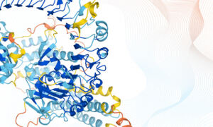 Mouse-ear cress protein structure prediction from the AlphaFold database
