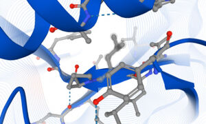 Protein structural biology
